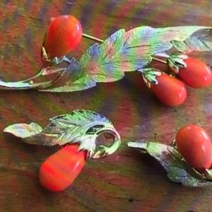 Sarah Coventry Bittersweet  Collection Coral Color